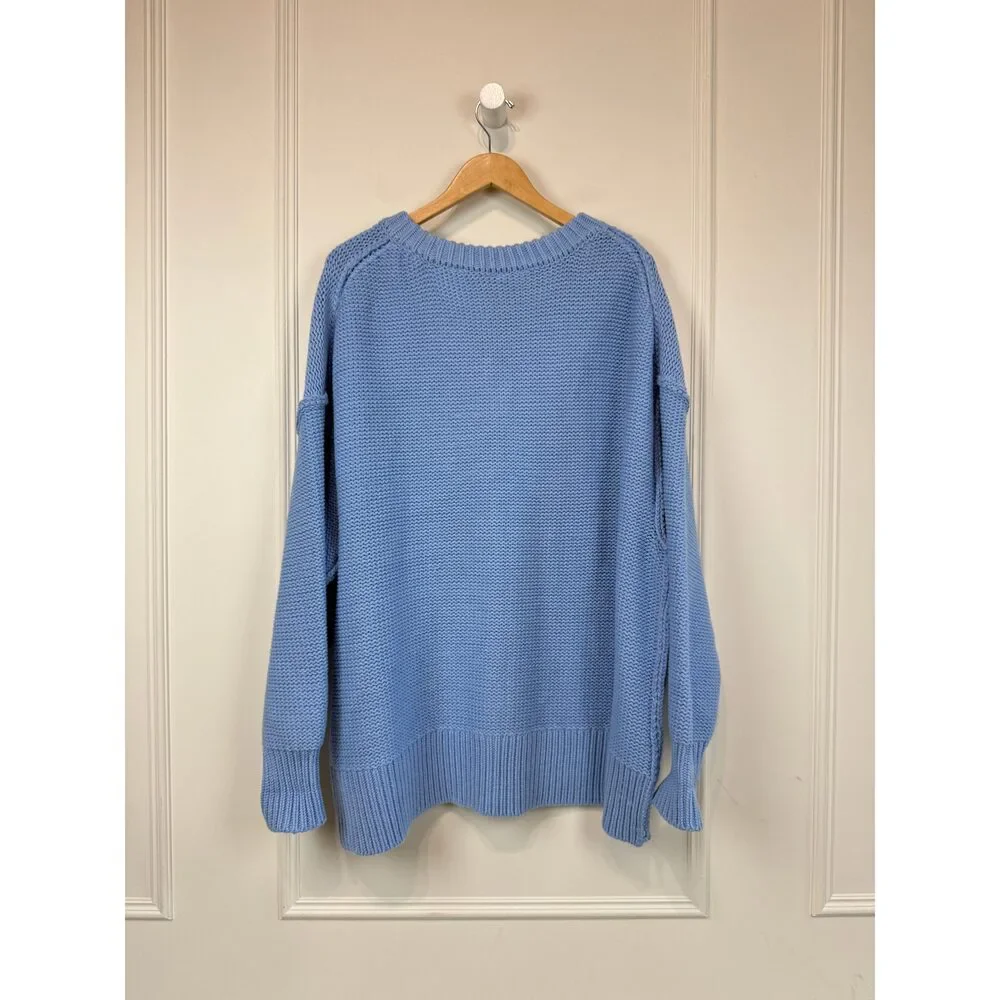 Free People Baby Blue Sweater (M)